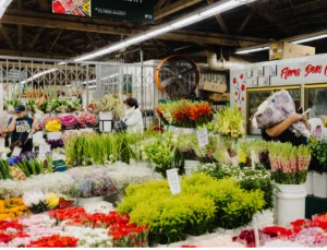 Mask+group+-+2023-08-06T211202.189